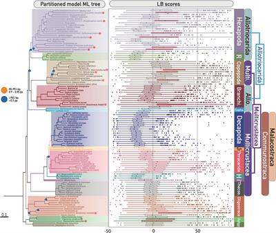 Incomplete lineage sorting and long-branch attraction confound phylogenomic inference of Pancrustacea